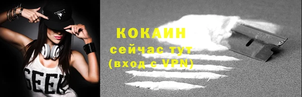 стаф Магас