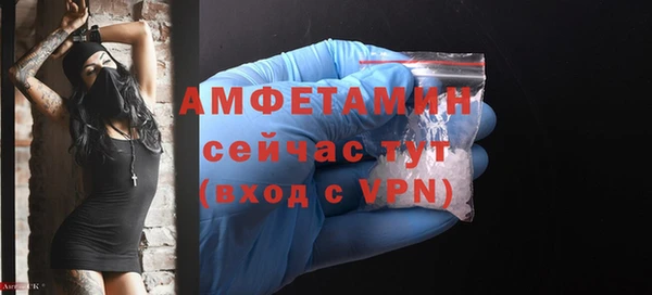 стаф Магас