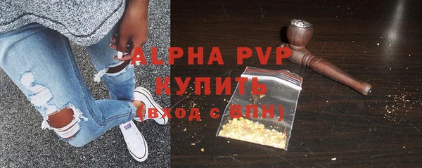 стаф Магас