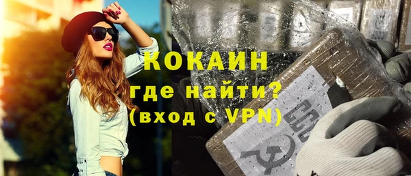 стаф Магас