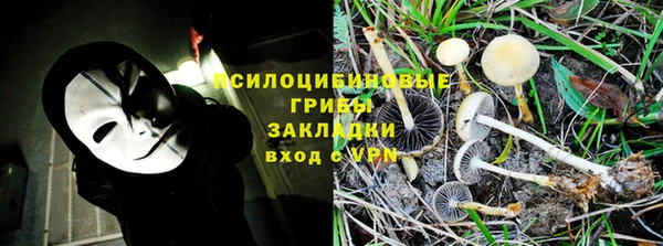 стаф Магас