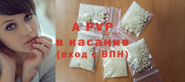 стаф Магас