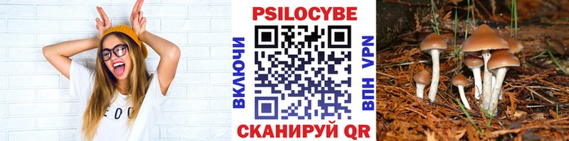 Псилоцибиновые грибы GOLDEN TEACHER  Жиздра 