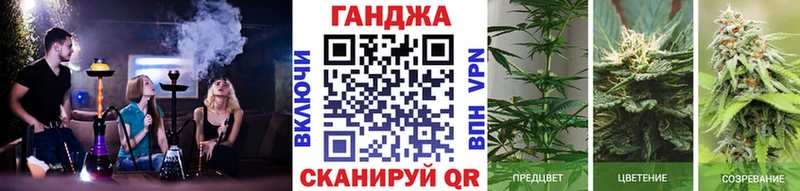 Канабис THC 21%  где купить наркоту  Жиздра 